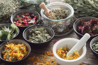 What Makes Herbal Extracts a Powerful Natural Remedy?