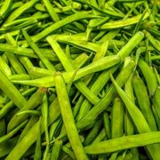 Guar Gum Manufacturers in Pakistan