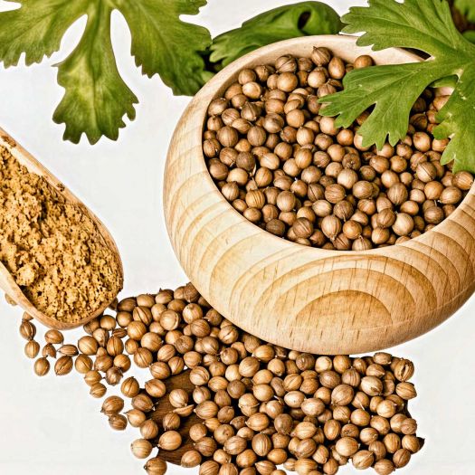 Coriander Seeds Manufacturers, Suppliers, Exporters in Pakistan