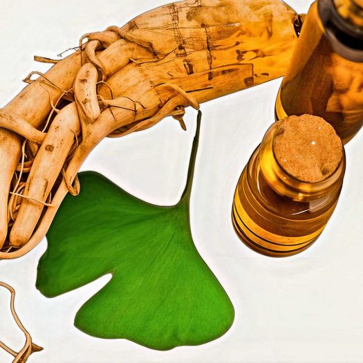 Ephedra Extract Manufacturers, Suppliers, Exporters in Pakistan