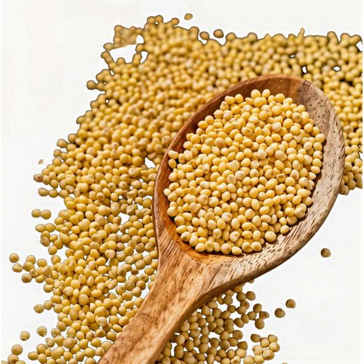 Millet Seeds Manufacturers, Suppliers, Exporters in Pakistan