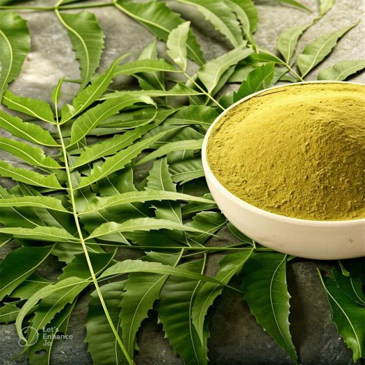 Neem Herbal Powder Manufacturers, Suppliers, Exporters in Pakistan